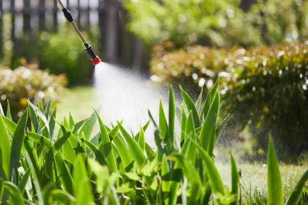24/7 Emergency Mosquito Control experts in Spanish Springs, NV