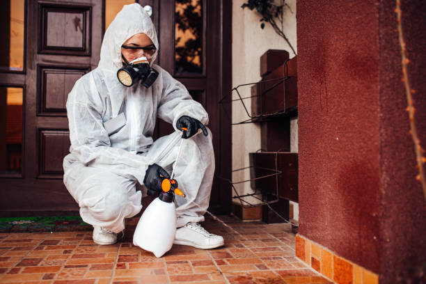 Reliable Mosquito Control contractor in Spanish Springs, NV by Nex Pest Control