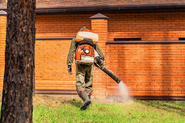 Trusted Mosquito Control service in Spanish Springs, NV - Nex Pest Control